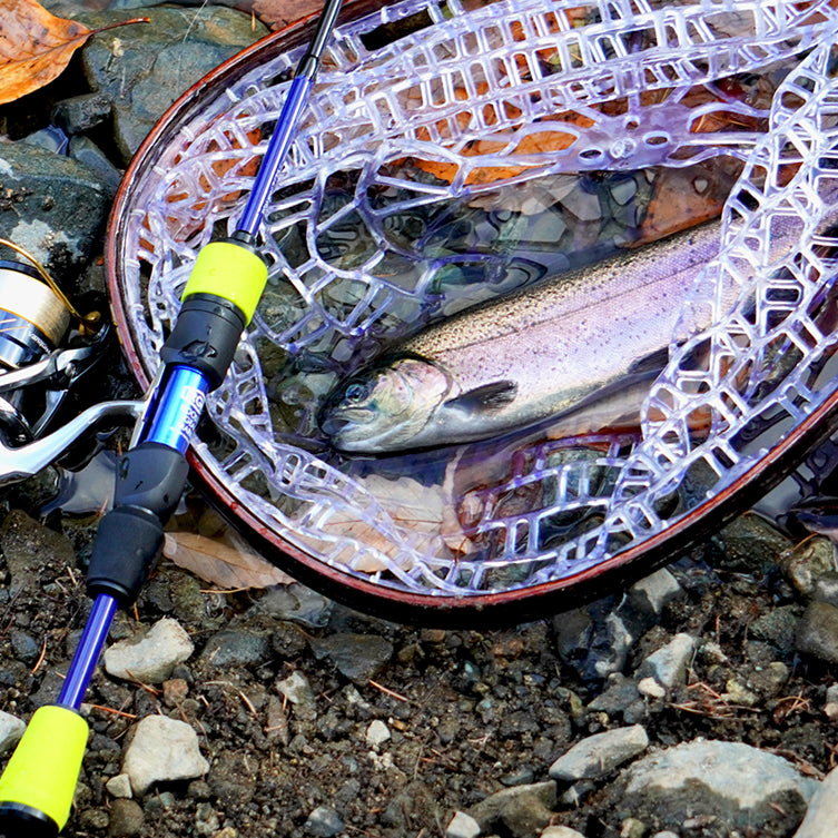 spec.2 / 5.5 – ROOSTERGEARMARKET