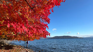 ROOSTERGEARMARKET公式オンラインストア